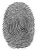 fingerprint_-_Pesquisa_Google