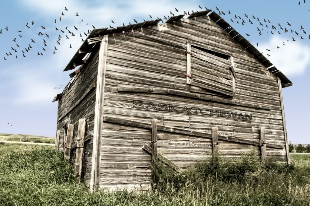 brown wooden barn during daytime